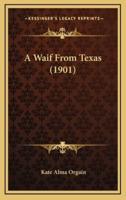 A Waif from Texas (1901)