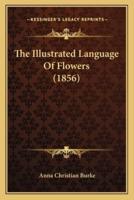 The Illustrated Language Of Flowers (1856)