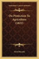 On Protection To Agriculture (1822)