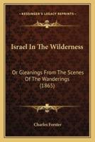Israel In The Wilderness
