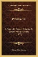 Pittonia V5