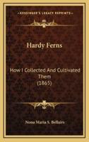 Hardy Ferns