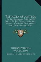 Testacea Atlantica