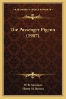 The Passenger Pigeon (1907)