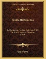 Fossilia Hantoniensia