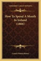 How To Spend A Month In Ireland (1866)