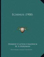 Echinus (1900)