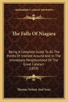 The Falls Of Niagara