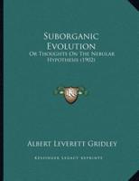 Suborganic Evolution