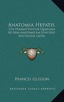 Anatomia Hepatis