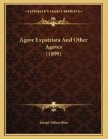 Agave Expatriata And Other Agaves (1899)