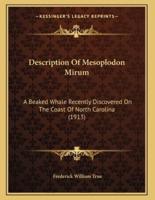 Description Of Mesoplodon Mirum