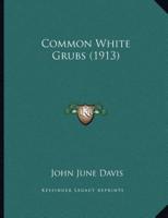 Common White Grubs (1913)