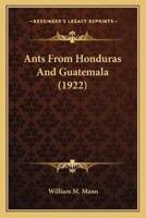 Ants From Honduras And Guatemala (1922)
