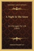 A Night In The Snow