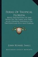 Ferns Of Tropical Florida