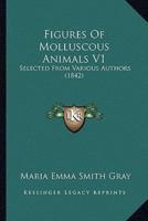 Figures Of Molluscous Animals V1