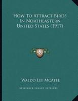 How To Attract Birds In Northeastern United States (1917)