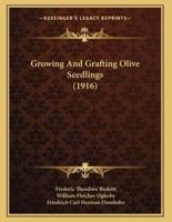 Growing And Grafting Olive Seedlings (1916)