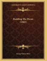 Budding The Pecan (1902)