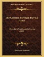 The Common European Praying Mantis