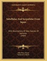 Sabellidae And Serpulidae From Japan