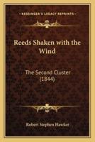 Reeds Shaken With the Wind
