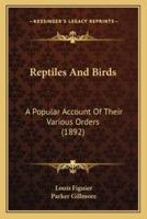 Reptiles And Birds