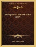 The Suprarenal Bodies Of Fishes (1897)