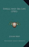 Shells And Sea Life (1901)