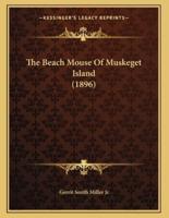 The Beach Mouse Of Muskeget Island (1896)