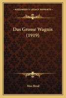 Das Grosse Wagnis (1919)