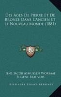 Des Ages De Pierre Et De Bronze Dans L'Ancien Et Le Nouveau Monde (1881)