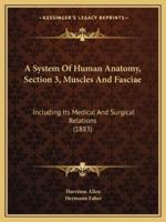 A System Of Human Anatomy, Section 3, Muscles And Fasciae