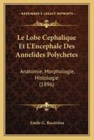 Le Lobe Cephalique Et L'Encephale Des Annelides Polychetes