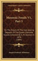Mesozoic Fossils V1, Part 3