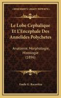 Le Lobe Cephalique Et L'Encephale Des Annelides Polychetes
