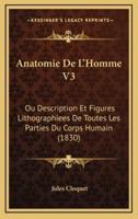 Anatomie De L'Homme V3