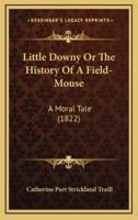 Little Downy Or The History Of A Field-Mouse