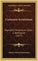 Curiosum Scrutinium