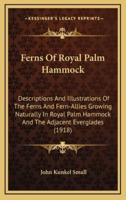 Ferns Of Royal Palm Hammock