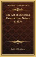 The Art of Sketching Flowers from Nature (1853)