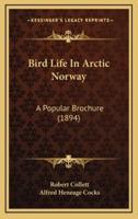 Bird Life In Arctic Norway