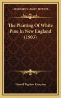 The Planting Of White Pine In New England (1903)
