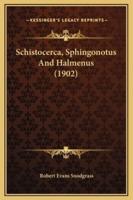 Schistocerca, Sphingonotus And Halmenus (1902)