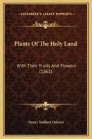Plants Of The Holy Land