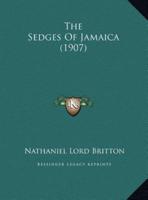 The Sedges Of Jamaica (1907)