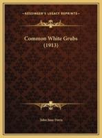 Common White Grubs (1913)