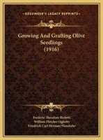 Growing And Grafting Olive Seedlings (1916)