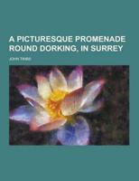 A Picturesque Promenade Round Dorking, in Surrey